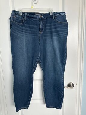 torrid Dark Blue Skinny Jeans